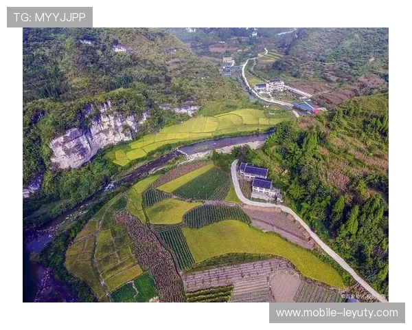 一键开启贵州避暑之旅:23℃的清凉密码等你解锁 一键开启贵州避暑之旅:23℃的清凉密码等你解锁